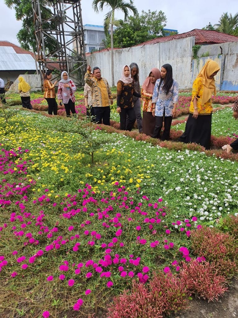 bunga tapak dara di pangkalan bun