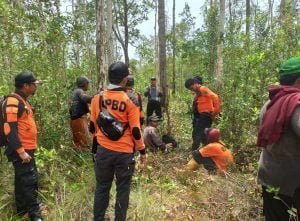 Menyisir Hutan Sendurian Hingga Pantai, Tim Gabungan Belum Temukan M Hatta