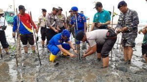 Cegah Abrasi Pantai, Polisi dan Masyarakat Tanam 2.000 Pohon Mangrove