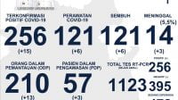 Update Data Covid-19, 256 Orang di Kalteng Positif