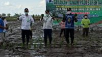 Mentan RI Tinjau Lahan Pertanian di Belanti Siam