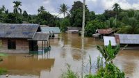 Di Kelurahan Pangkut, 200 Rumah Terendam Banjir