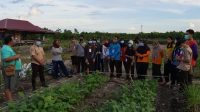 Anggota Pramuka UPR Ikuti Pelatihan Agroforestry di PTP UPR