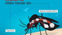 Pulpis Berhasil Tangani Penularan Malaria