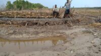 39 Tambak Ikan Disapu Banjir Rob