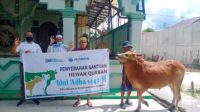 Pelindo III Serahkan 5 Ekor Sapi Kurban