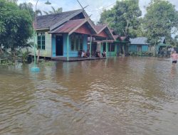 Debit Air di Aruta Naik Kembali Kini Giliran Kolam Diterjang Banjir