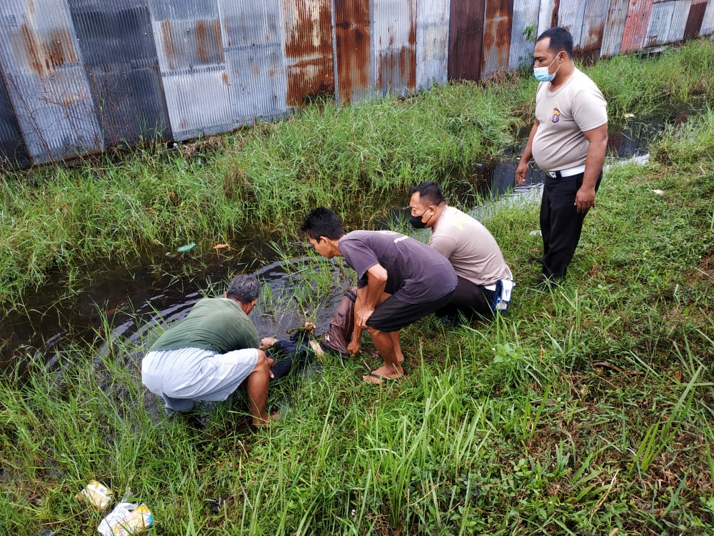 Penjaga Kandang Ayam Tewas Tabrak Lari   Tabengan Online