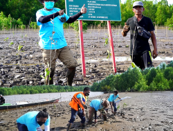 Dukung Program Pemerintah, PT MUTU Gelar Penanaman Mangrove