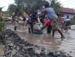 RUSAK DILALUI PBS-Miris, Jalan Provinsi Ditanami Kelapa