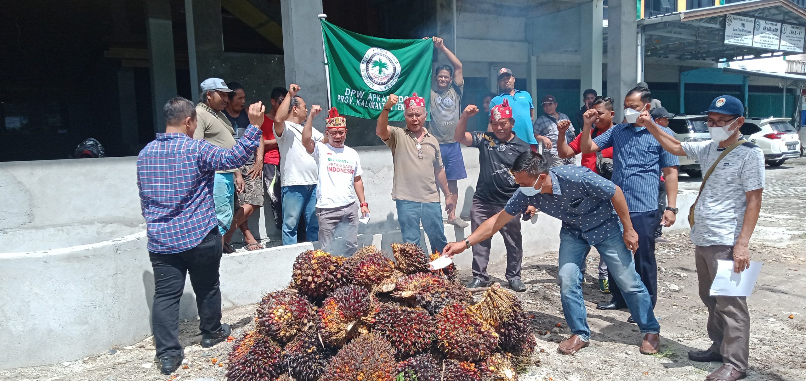 Kecewa Harga Anjlok, Petani Bakar Sawit – Tabengan Online