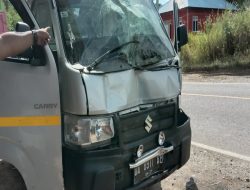 Baru Keluar Dealer, Mobil Pikap Seruduk Warung hingga Ringsek