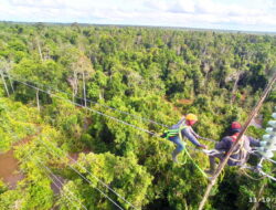 Pangkalan Bun Gelap Gulita, PLN Percepat Pemulihan