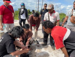 Pemuda Bawa 1 Ons Sabu Dibekuk Tim Cobra Polres Kotim