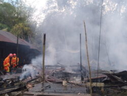 Kebakaran Hanguskan 4 Rumah di Desa Bengkuang Makmur