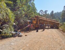 Hilux vs Truk Logging, 5 Tewas