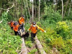 9 Hari Hilang di Hutan, Pencari Jengkol Ditemukan Meninggal