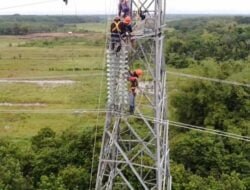 Listrik Kalselteng Pulih 100 Persen