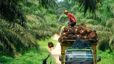 Tanggapan PT Graha Inti Jaya Terhadap Pernyataan Pengurus KSU Handep Hapakat