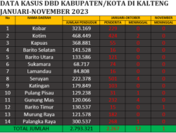 13 Warga Kalteng Meninggal Akibat DBD