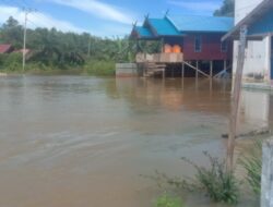 Dua Desa di Tualan Hulu Terendam Banjir