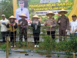 Pj Bupati Hadiri Panen Cabai dan Gerakan Menanam Bawang Merah