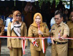 Pj Bupati Pulpis Hadiri Launching B2SA di Desa Purwodadi