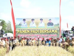 Pj Bupati Hadiri Panen Padi dan Sosialisasi Pupuk Bersubsidi