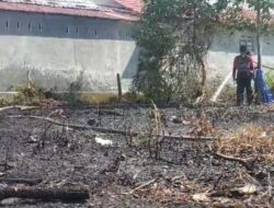 Bupati Imbau Pengolahan Lahan Tak Gunakan Sistem Bakar