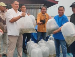 Puluhan Ribu Benih Ikan Ditebar di Sungai Mentaya