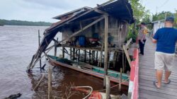 Ratusan Kayu Log PT DJU Putus Dari Rakitan, Tabrak Lanting dan Kelotok Penduduk