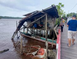 Ratusan Kayu Log PT DJU Putus Dari Rakitan, Tabrak Lanting dan Kelotok Penduduk