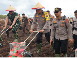 Polda Kalteng Tanam Jagung di Lahan 1.200 Hektare