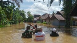 Banjir Katingan, Rumah Ibadah dan Sekolah Terendam Banjir