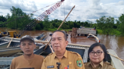 Tiang Perancah Runtuh, Jembatan Terusan Ambruk